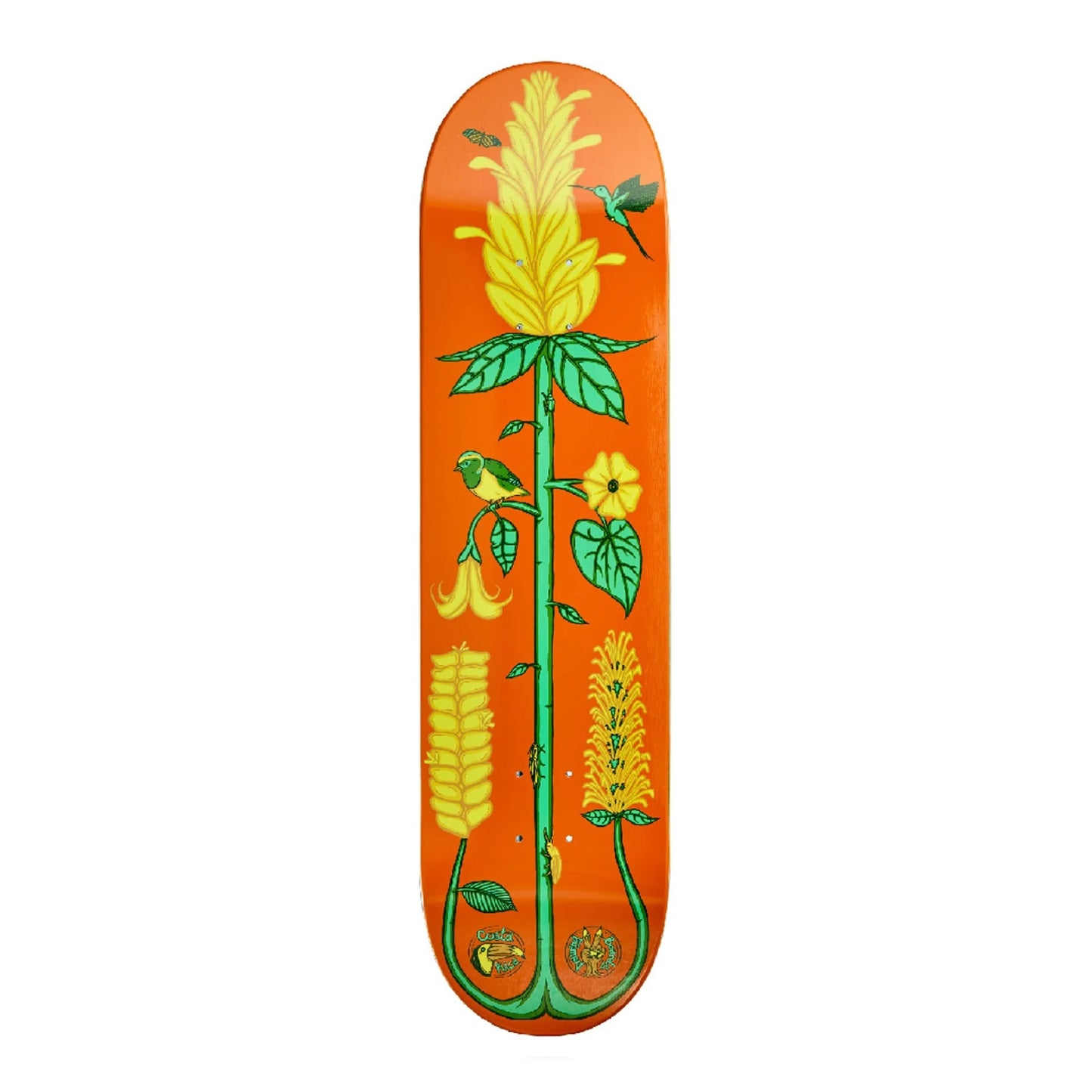 The Drawing Boards - 8.5" The Golden Shrimp Deck - Orange - Prime Delux Store