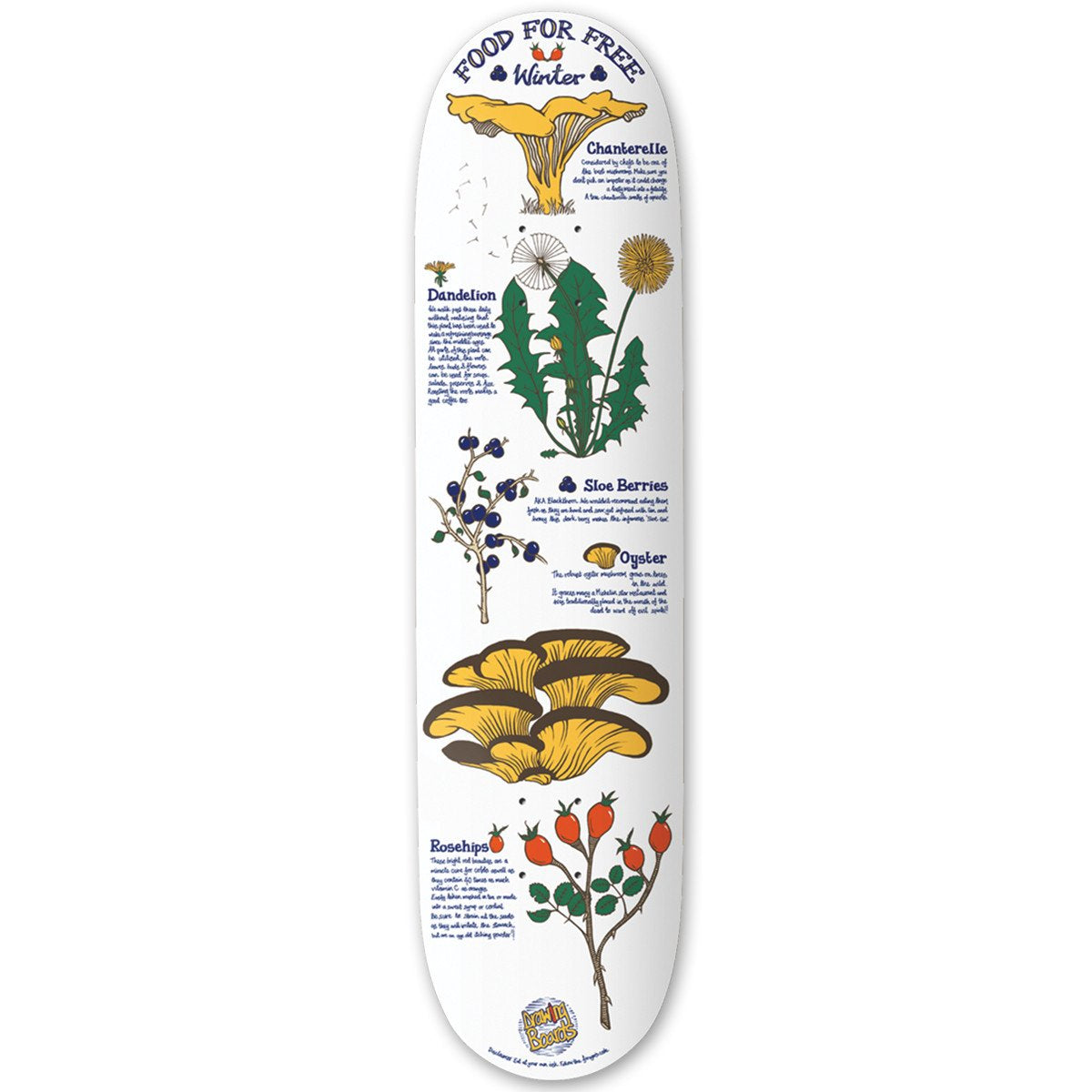 The Drawing Boards - 8.1" - Food for Free - Winter Deck - Prime Delux Store