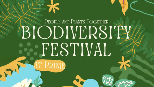 Biodiversity Festival