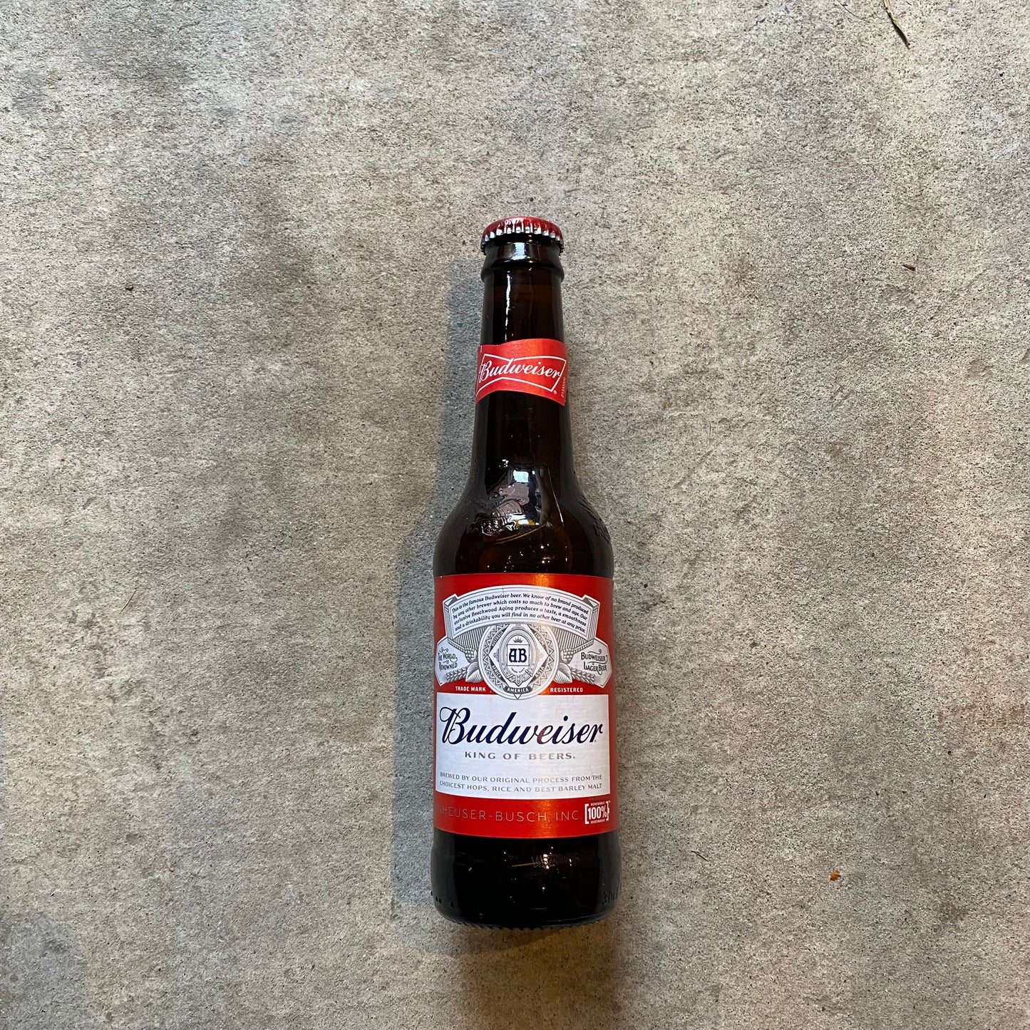 Bottle of Budweiser - Prime Delux Store