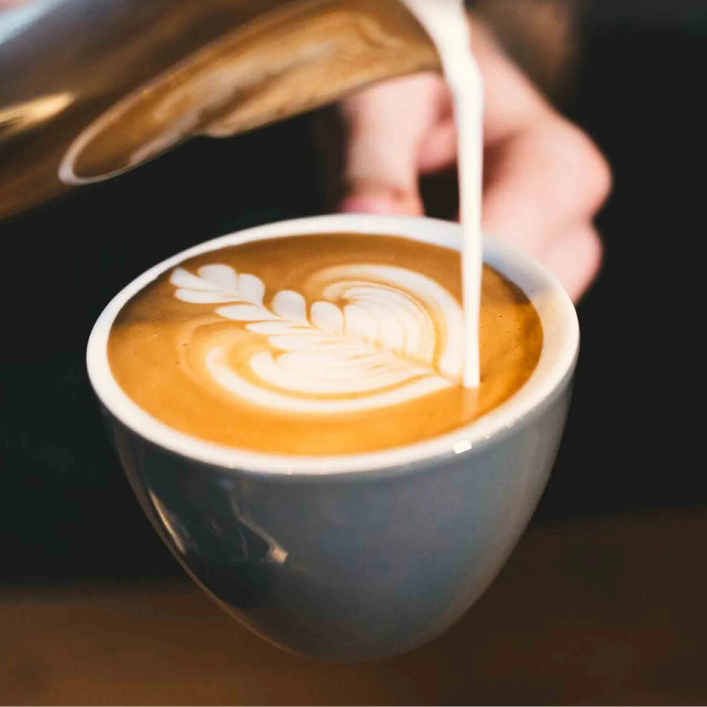 Flat White - Prime Delux Store