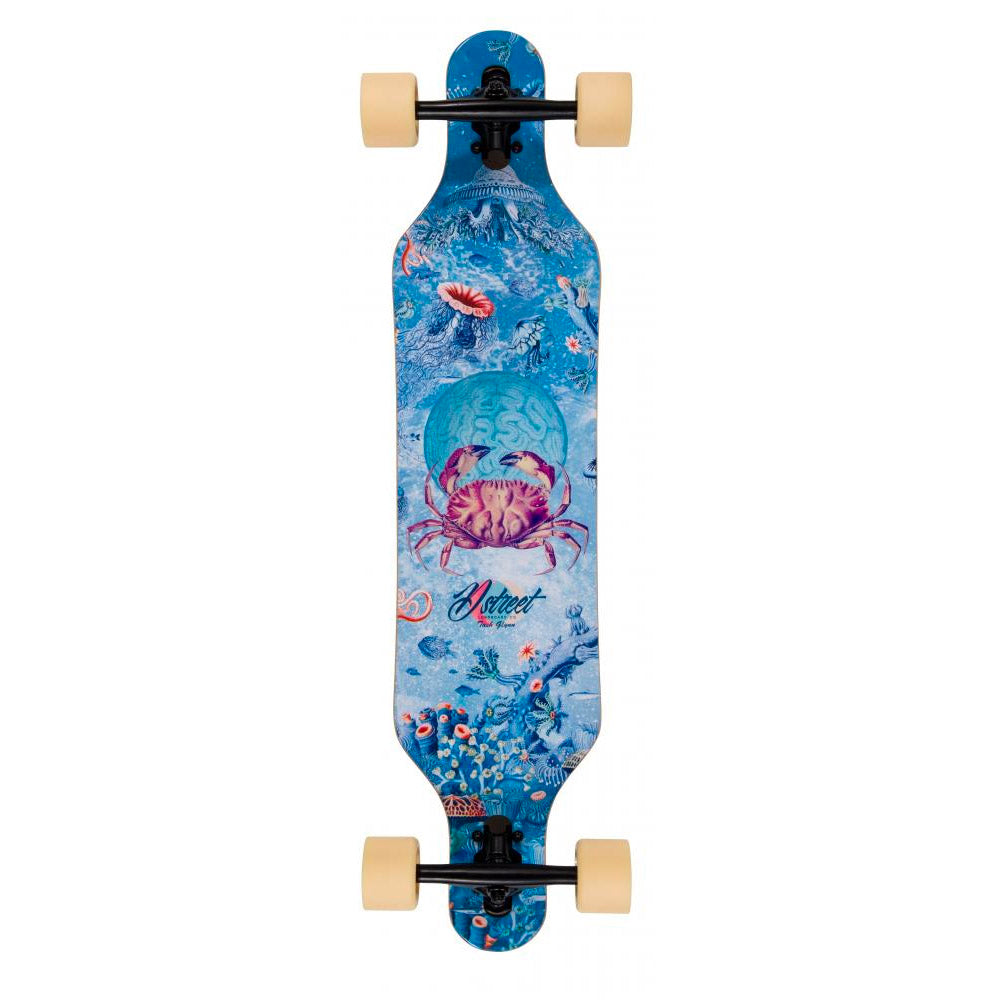 D Street Drop Through Reef Longboard 37" - Multi - Prime Delux Store