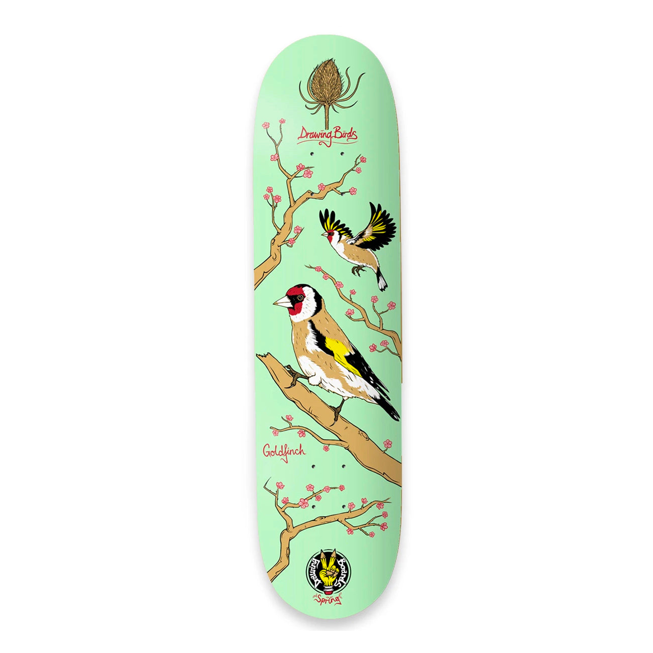 The Drawing Boards - 8.5" - Seasonal Birds Deck - Goldfinch Deck - Prime Delux Store