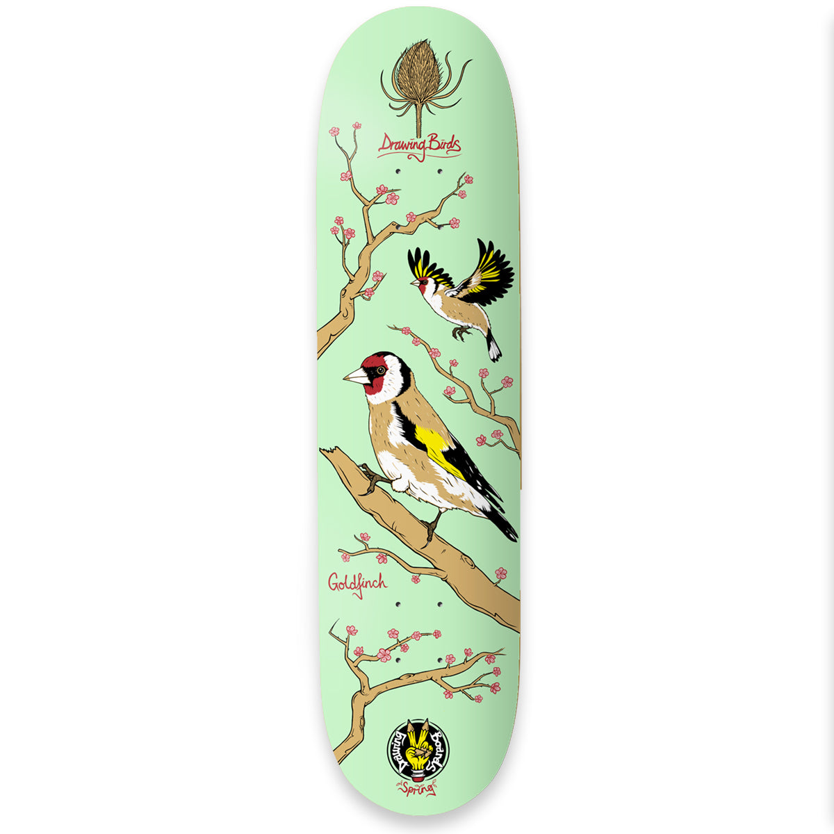 The Drawing Boards - 8.25" - Seasonal Birds - Goldfinch Deck - Prime Delux Store