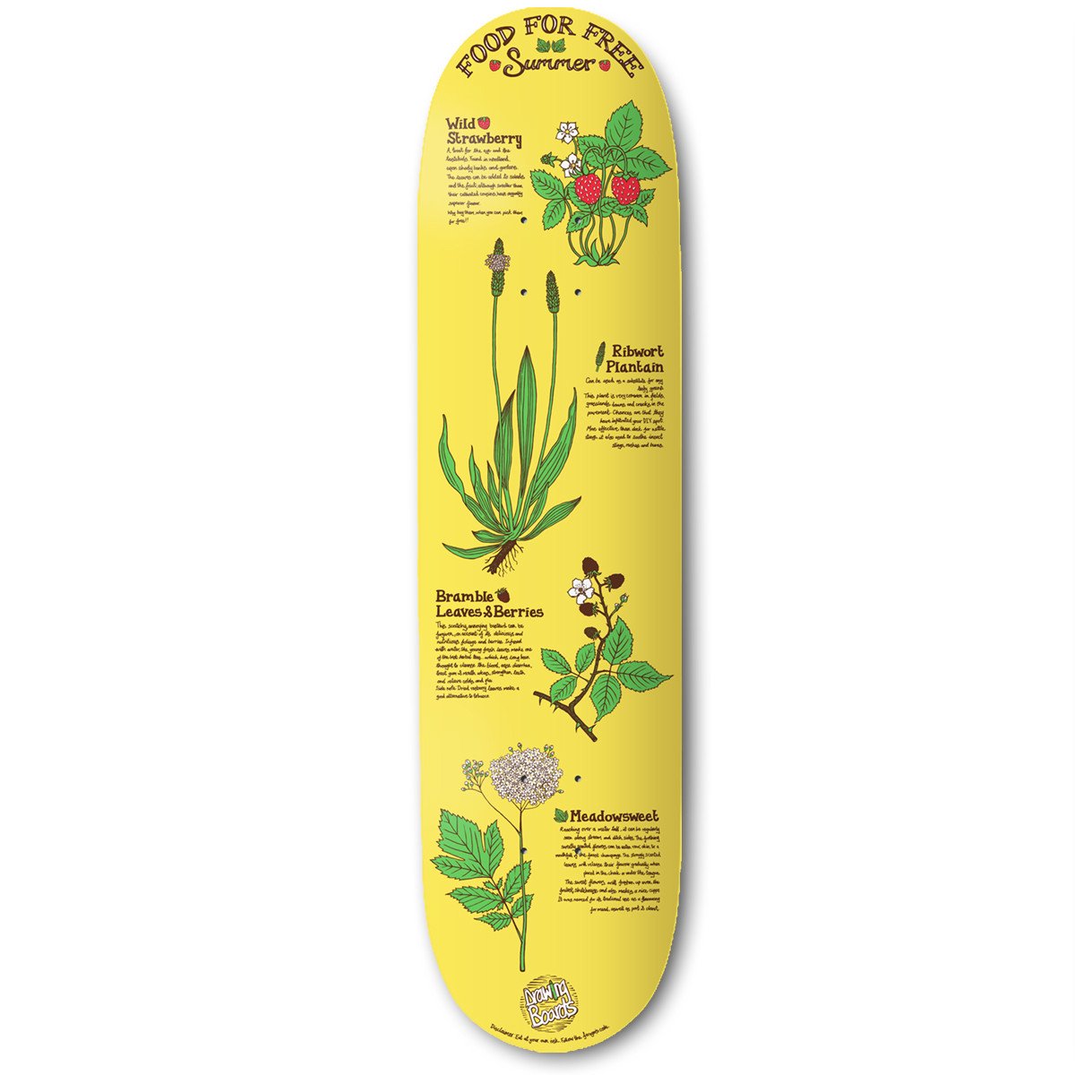 The Drawing Boards - 8.5" - Food For Free - Summer Deck - Prime Delux Store